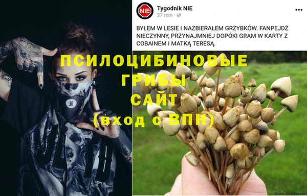 а пвп мука Сатка