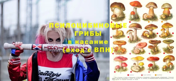 МДПВ Саяногорск