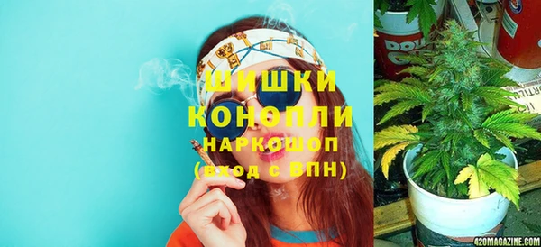 МДПВ Саяногорск