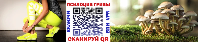 Галлюциногенные грибы Magic Shrooms  где купить наркоту  Каменка 